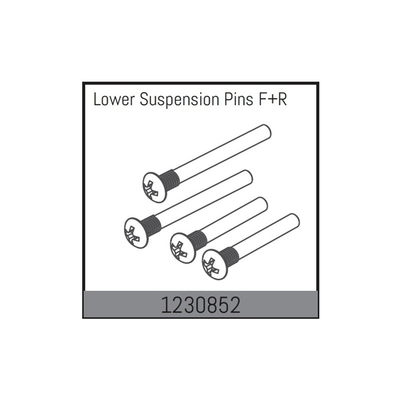 Lower Suspension Pin Set f/r