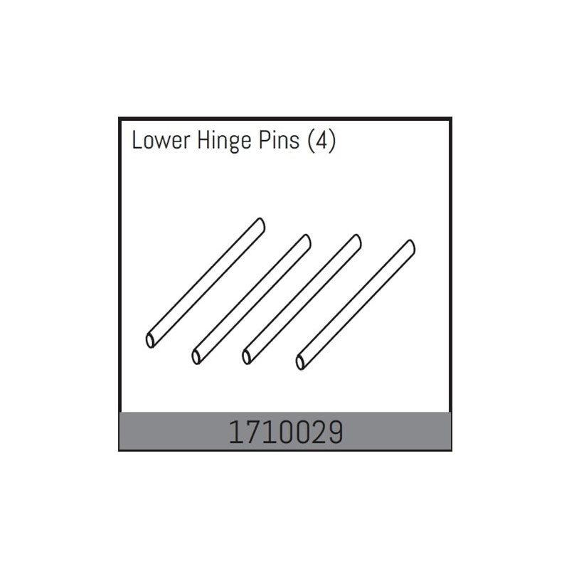 Lower Hinge Pins