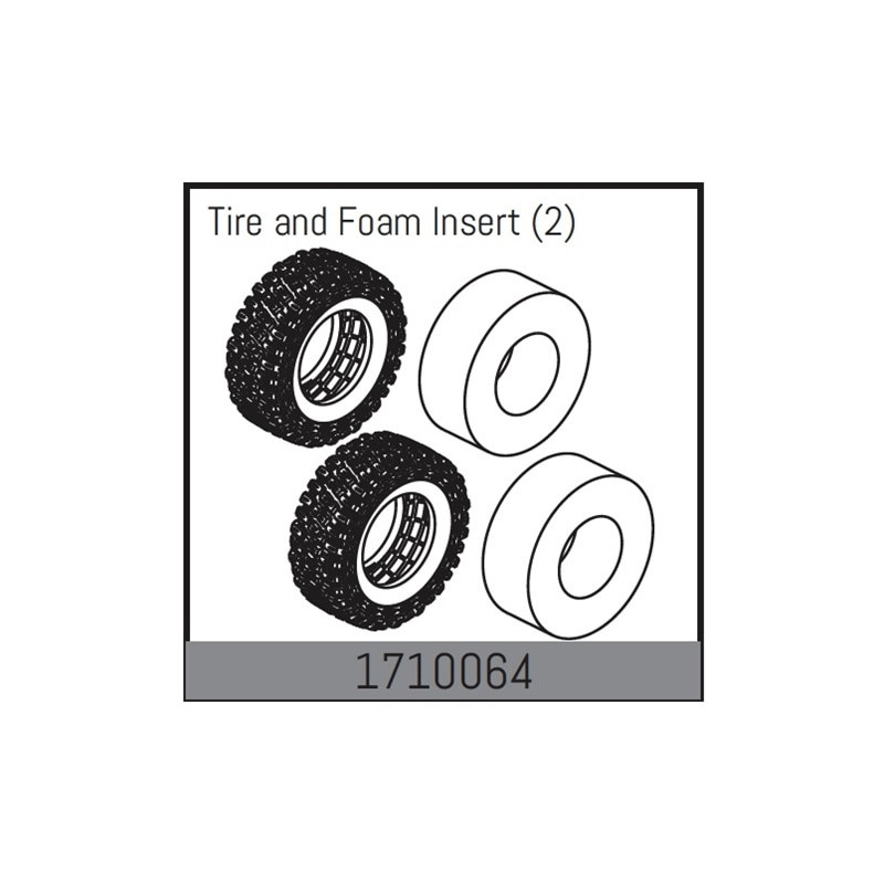 Tire and Foam Insert
