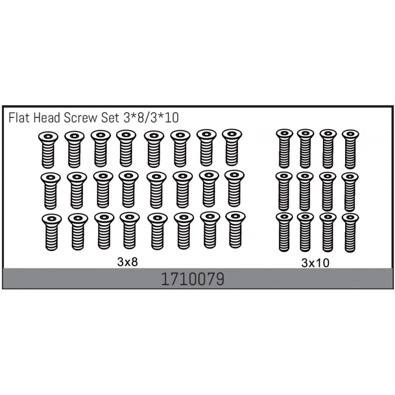 Flat Head Screw Set 3x8/3x10