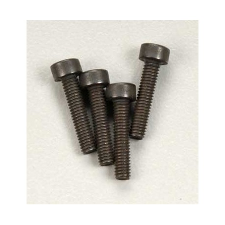 Screws 2.5x12mm cap-head 6