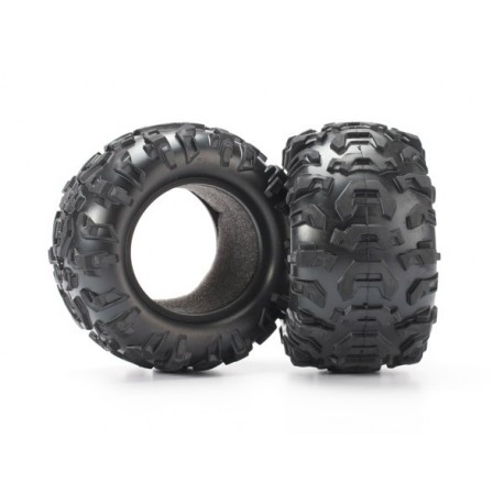 Tires, Canyon AT 2.2 (2) foam inserts (2)