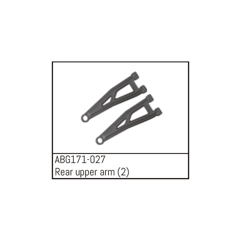 Rear Upper Arms