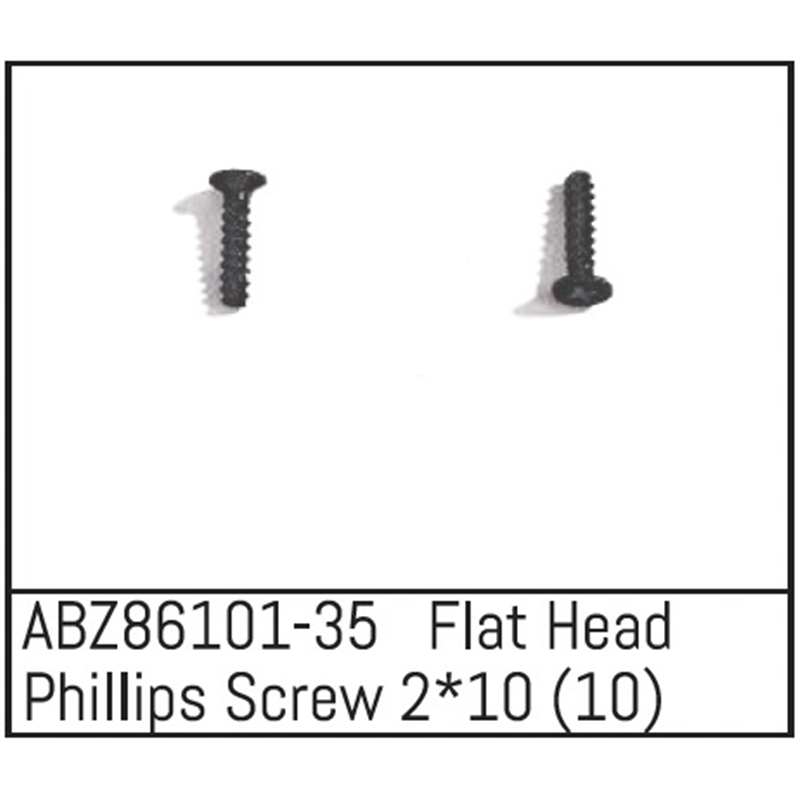 Flat Head Phillips Screw 2x10 - Mini AMT 10