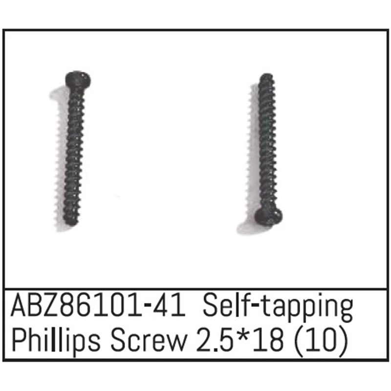 Self-tapping Phillips Screw 2.5x18 - Mini AMT 10