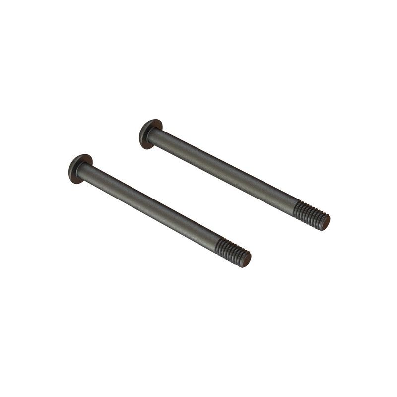 Screw hinge pin m4x48mm (2)