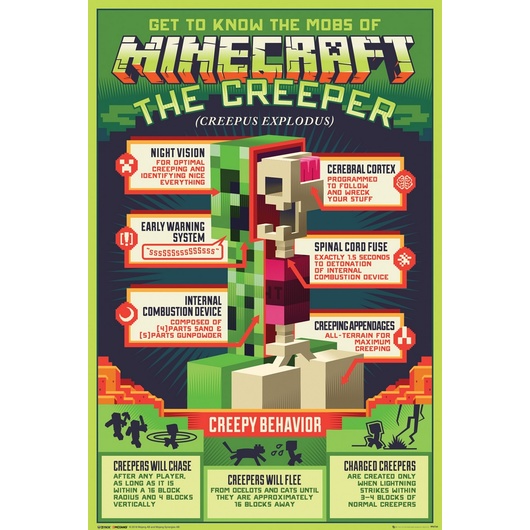 POSTER MINECRAFT CREEPER ANATOMY
