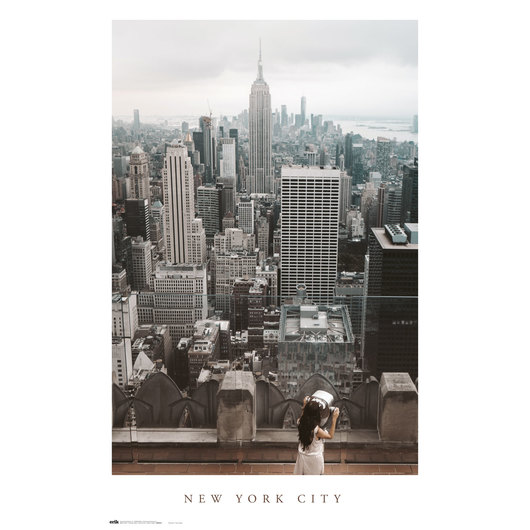 POSTER NOVA YORK CITY VIEWS