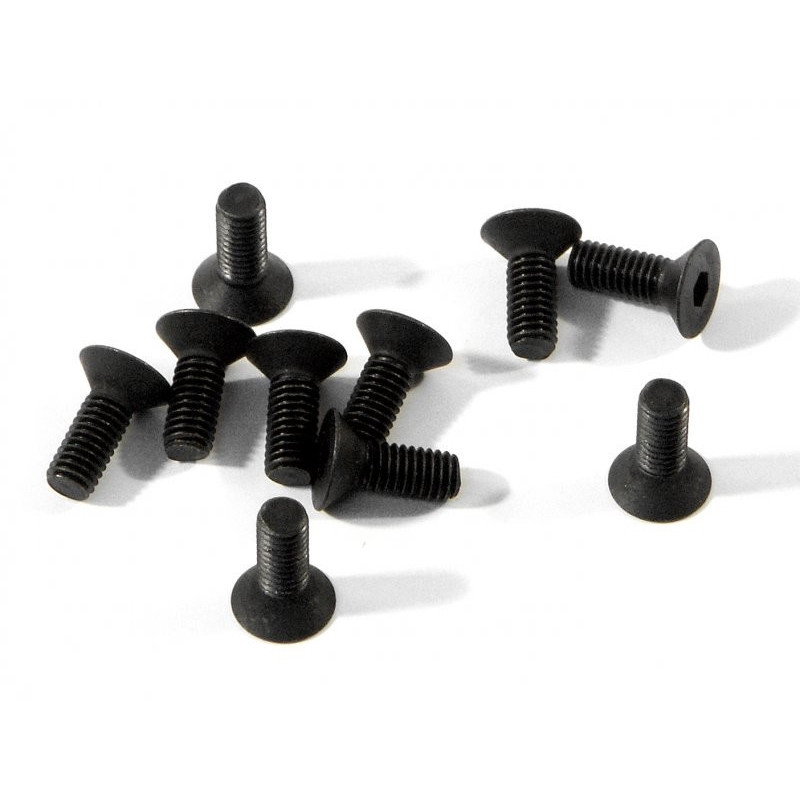 FLAT HEAD SCREW M3X8MM (HEX SOCKET/10PCS)