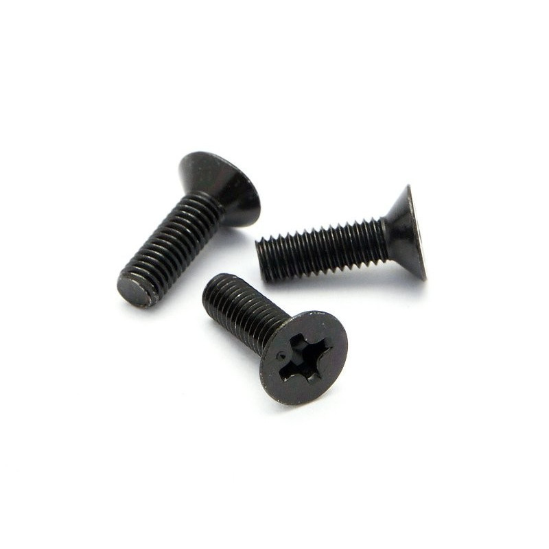 Flat Head Screw M3x10mm (6pcs)