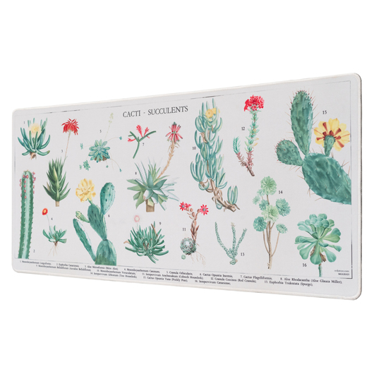 TAPETE RATO XL BOTANICAL CACTI