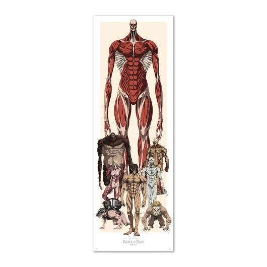 POSTER PORTA ATTACK ON TITAN